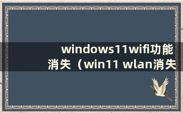 windows11wifi功能消失（win11 wlan消失）